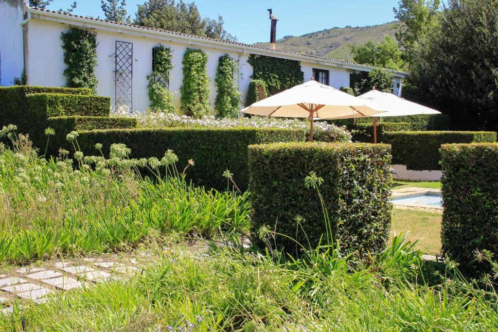 Bed and Breakfast Belair Country House Paarl Exteriér fotografie